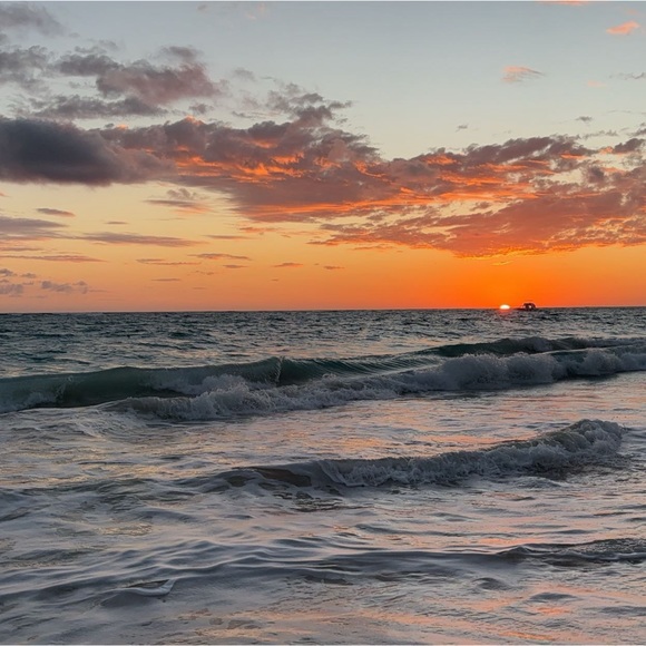 Meet your Posher, Taylor - Picture 1 of 1